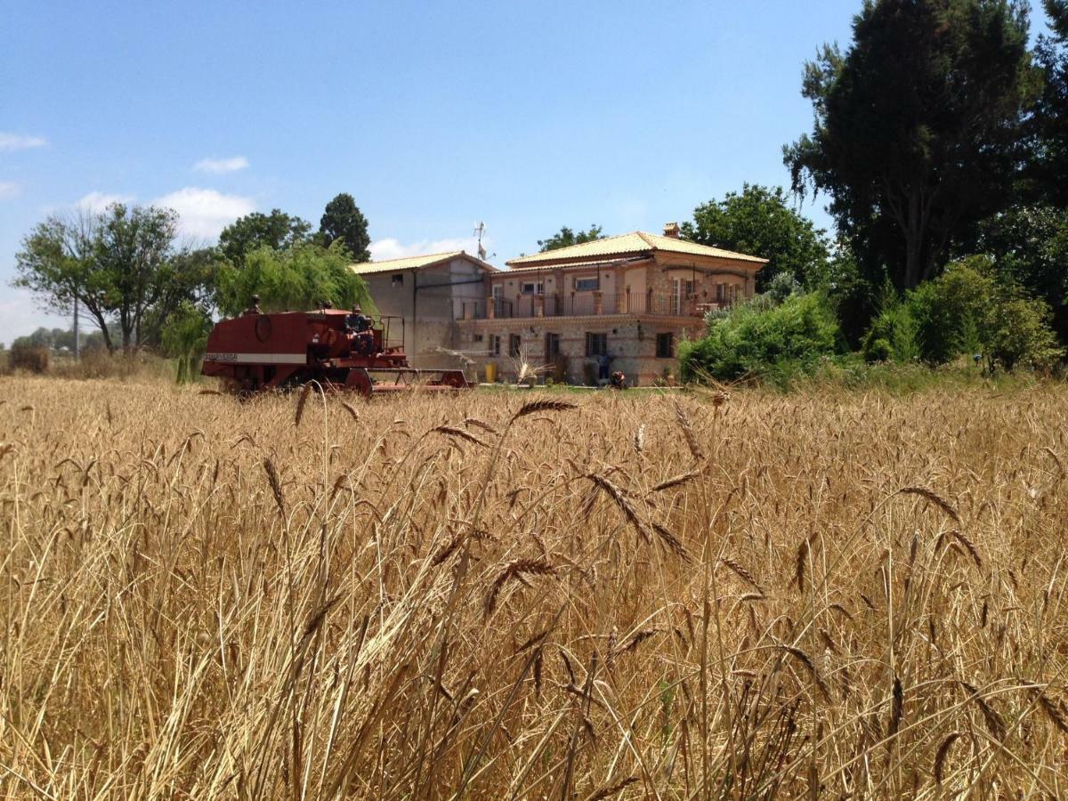 Don Carlo Agriturismo Di Charme Bio Villa Le Pioppe Luaran gambar